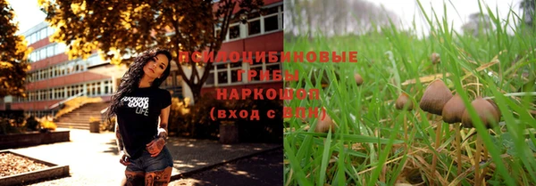 мяу мяу мука Осинники